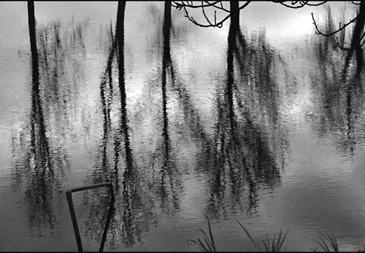 © Josef Safranek