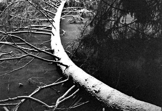 © Josef Safranek