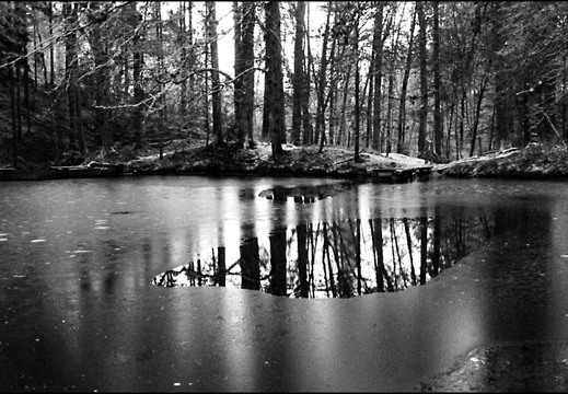 © Josef Safranek