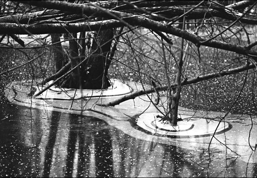 © Josef Safranek