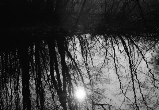 © Josef Safranek