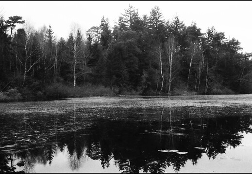 © Josef Safranek