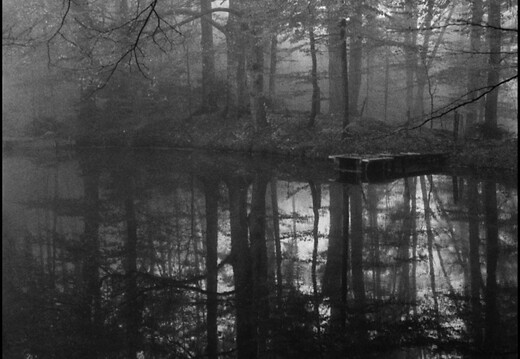 © Josef Safranek