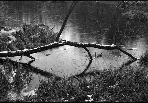 © Josef Safranek