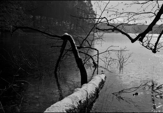 © Josef Safranek