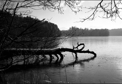 © Josef Safranek