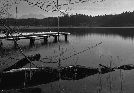 © Josef Safranek