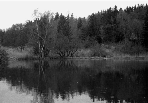 © Josef Safranek