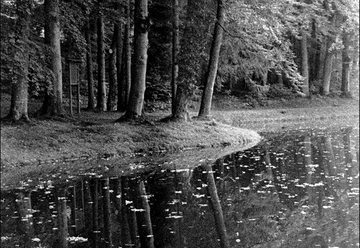 © Josef Safranek
