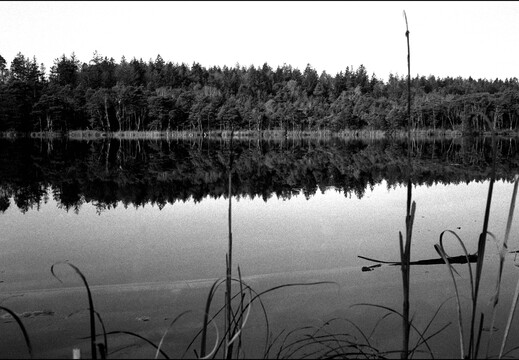 © Josef Safranek