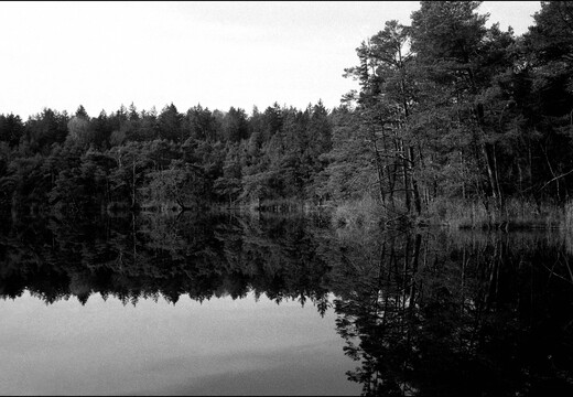 © Josef Safranek