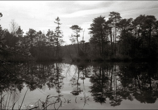 © Josef Safranek