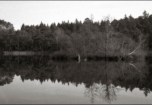 © Josef Safranek