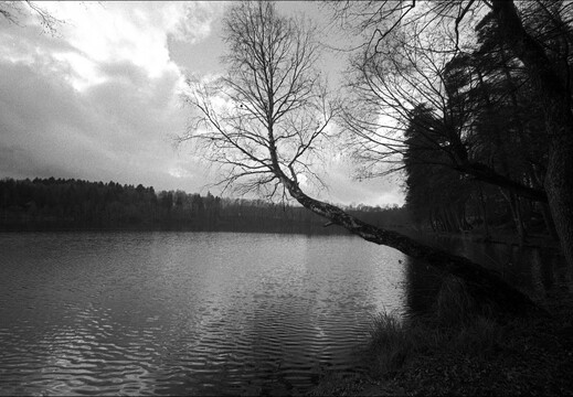 © Josef Safranek