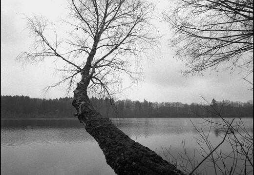 © Josef Safranek