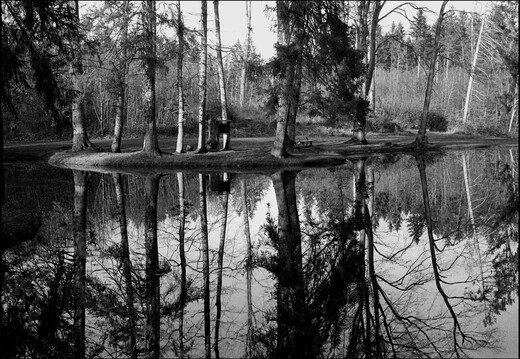 © Josef Safranek