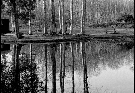 © Josef Safranek