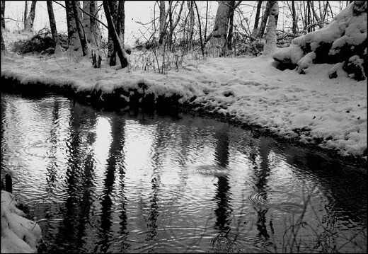 © Josef Safranek