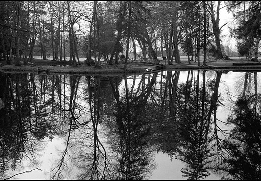 © Josef Safranek