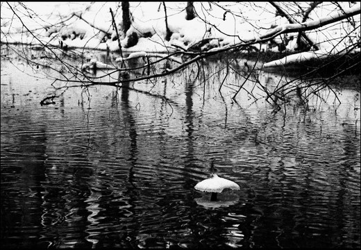 © Josef Safranek