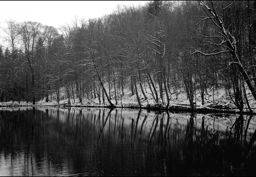 © Josef Safranek