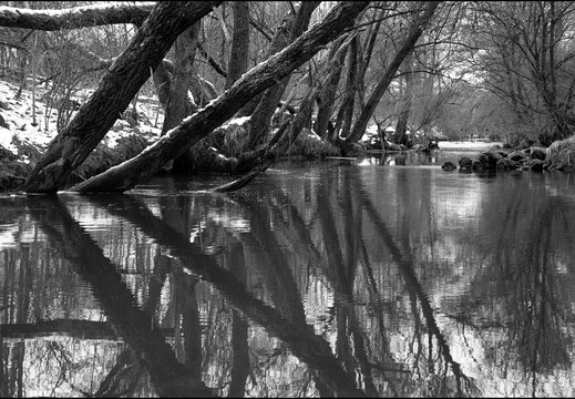 © Josef Safranek