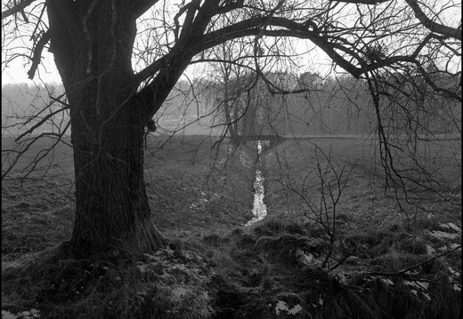 © Josef Safranek