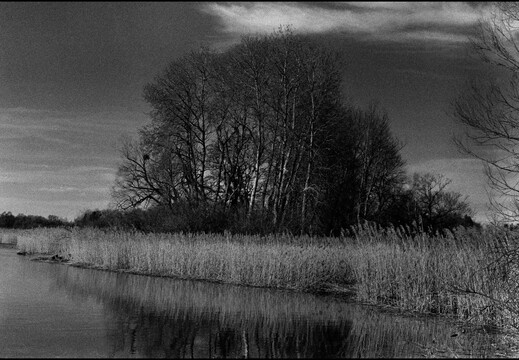 © Josef Safranek