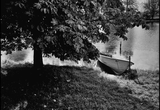 © Josef Safranek