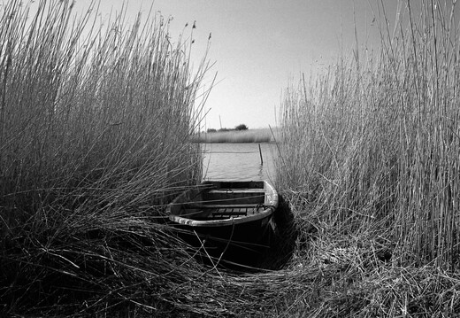 © Josef Safranek