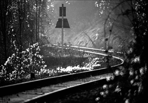 © Josef Safranek