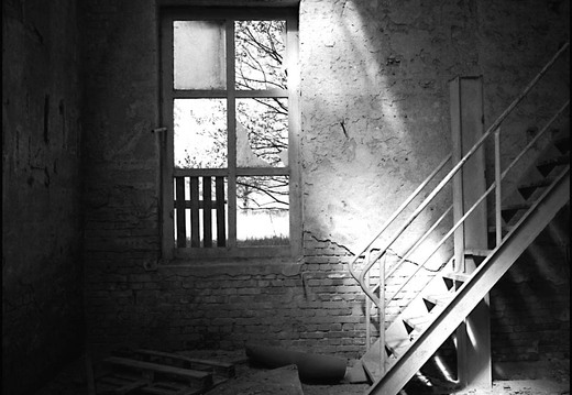 © Josef Safranek
