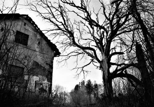 © Josef Safranek