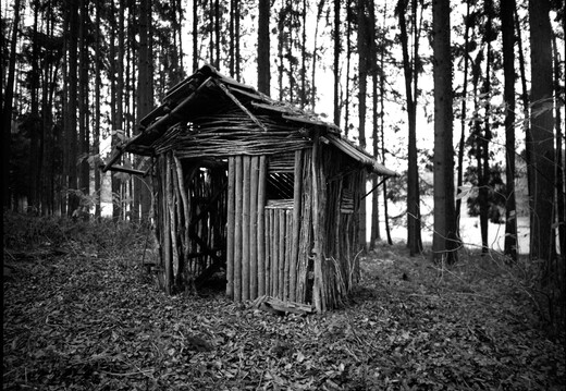 © Josef Safranek