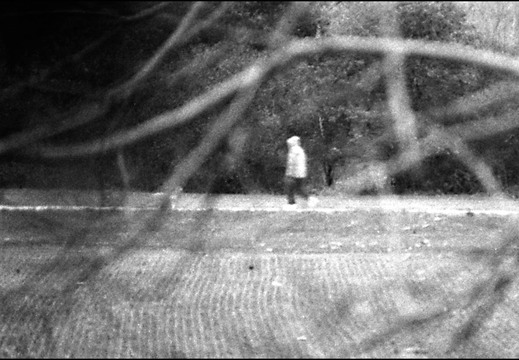 © Josef Safranek