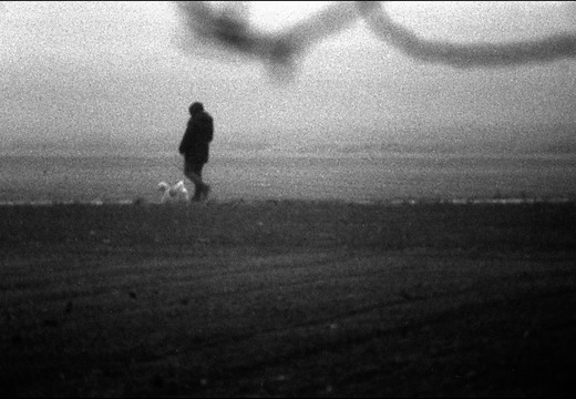 © Josef Safranek