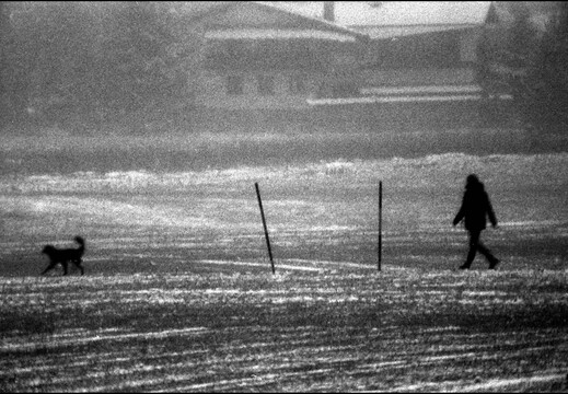© Josef Safranek