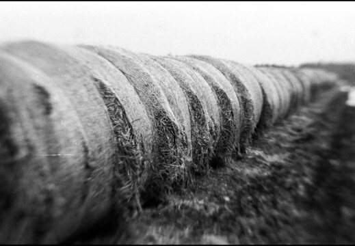 © Josef Safranek