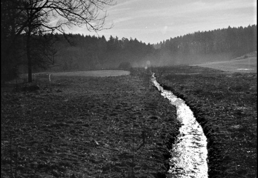 © Josef Safranek