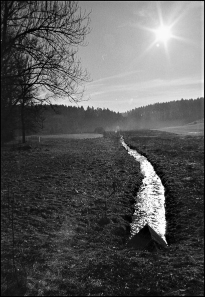 wasserschlange_48443871806_o.jpg