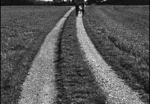 © Josef Safranek