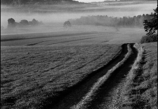 © Josef Safranek