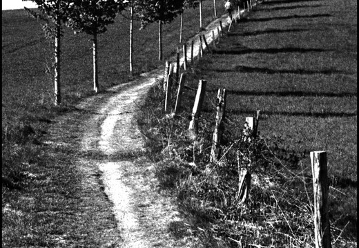 © Josef Safranek