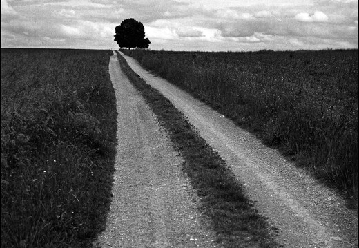 © Josef Safranek