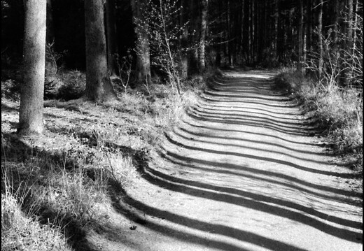 © Josef Safranek