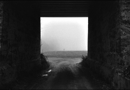 © Josef Safranek