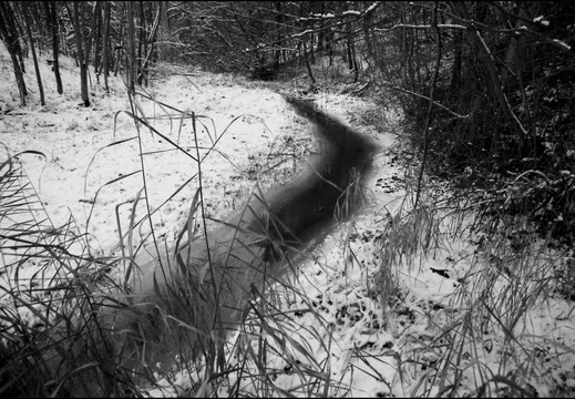 © Josef Safranek