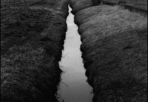 © Josef Safranek