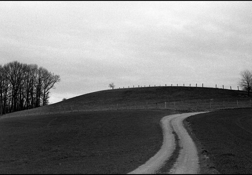 © Josef Safranek
