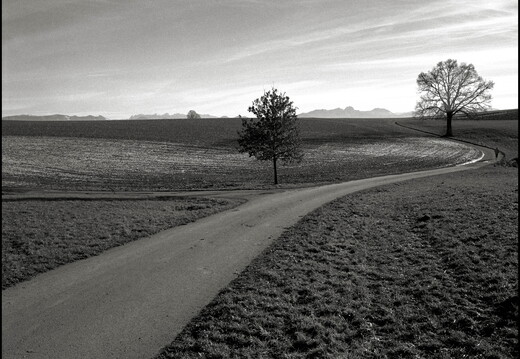 © Josef Safranek